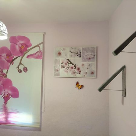 La Casita De Ana. Puerta Valencia. Casco Antiguo Villa Куенка Екстериор снимка