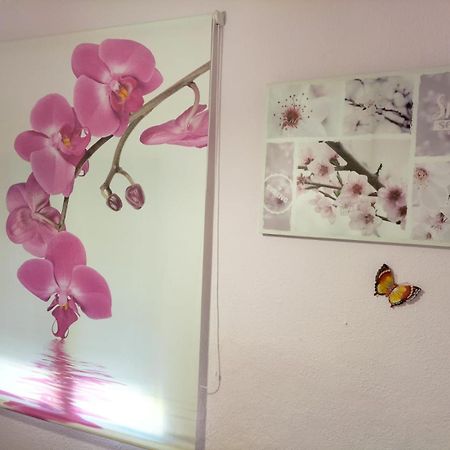 La Casita De Ana. Puerta Valencia. Casco Antiguo Villa Куенка Екстериор снимка